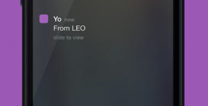 Yo.